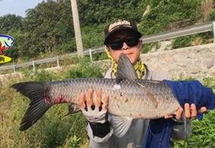 吃瓜爆料背后：娱乐圈真相为何总绕不开“亲妈”？