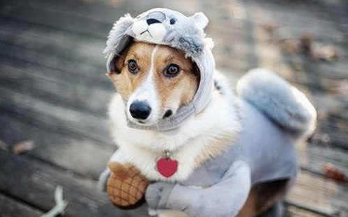 从默默无闻到爆红：娱乐圈吃瓜王的逆袭故事