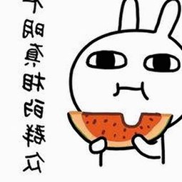 国产品牌新势力：从历史积淀到科技引领的跨越