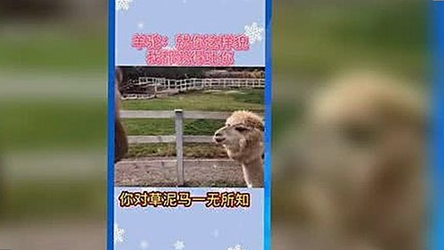 从低调到爆红：一位女星的崛起与争议回顾