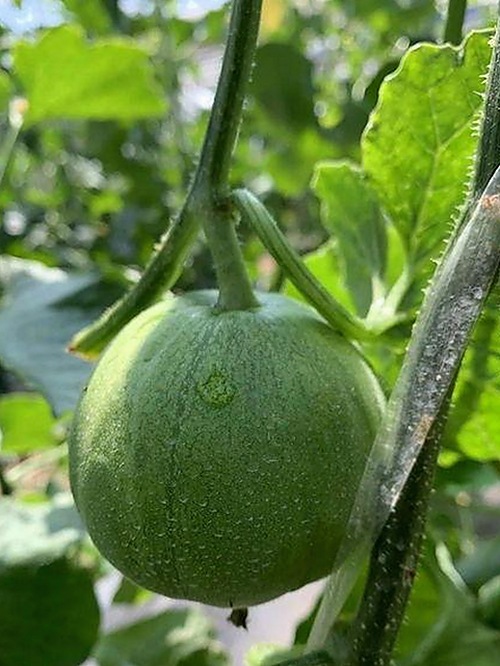 明星恋情曝光：背后隐藏的关系变迁引发热议